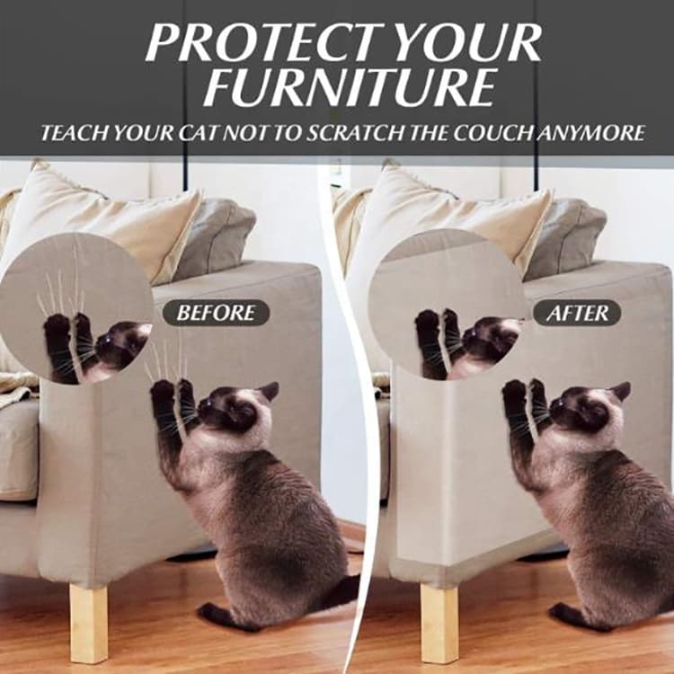 Anti scratch couch hotsell